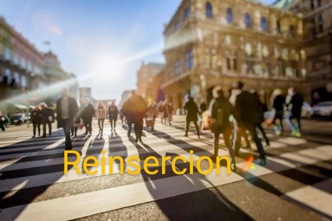 Reinsercion Social Cívica 